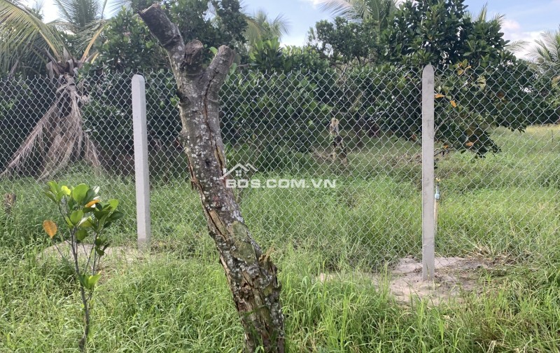 1000m2 đất vườn sầu riêng, mít, dừa Tây Ninh (gần núi Bà)